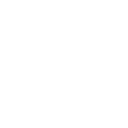 FSR ABS